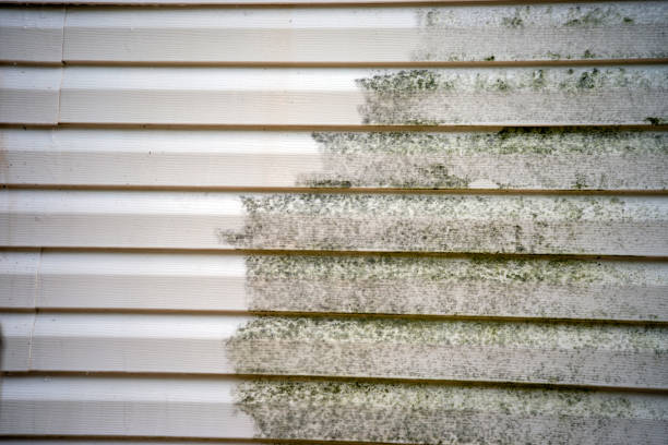 Same-Day Junk Removal Services in Hillsborough, CA